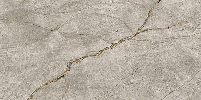 Керамический гранит EMPIRE Silver Root / Эмпаир Сильвер Рут 600x1200 (Atlas Concorde Russia)