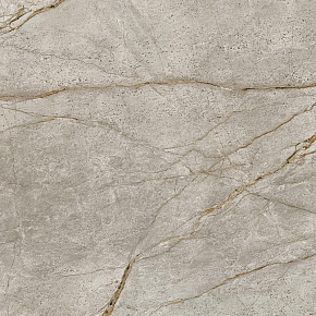 Керамический гранит EMPIRE Silver Root / Эмпаир Сильвер Рут 800x800 Lapp (Atlas Concorde Russia)