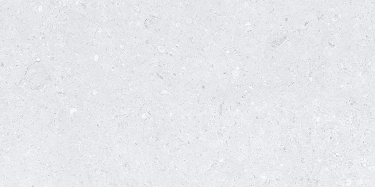 Керамический гранит Cemento Ammonite Silver Matt 600x1200 (MDetails)