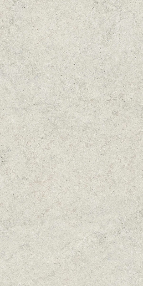 Керамический гранит Salento White / Саленто Уайт 610010004073 600x1200 (COLISEUMGRES)