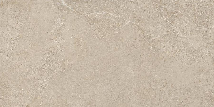 Керамический гранит Arenite Natural Matt. N30102 595x1200 (STN Ceramica)