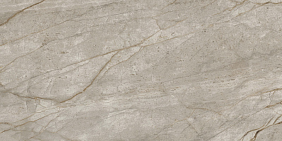 Керамический гранит EMPIRE Silver Root / Эмпаир Сильвер Рут 600x1200 Lapp (Atlas Concorde Russia)