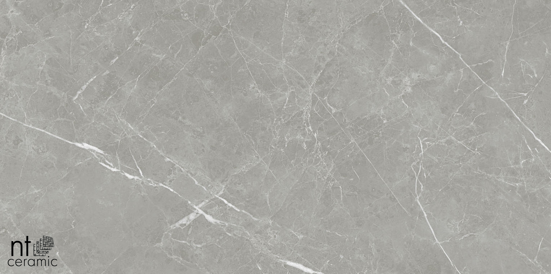 Керамический гранит Pietra NTT1102 лаппатированный PT6NTT1102L 600x600 (NT Ceramic)