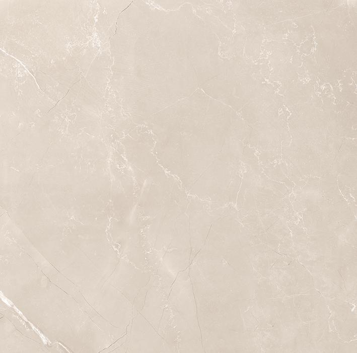 Керамический гранит Витрум Тауп / Vitrum Taupe 60x60 матовый (Laparet)