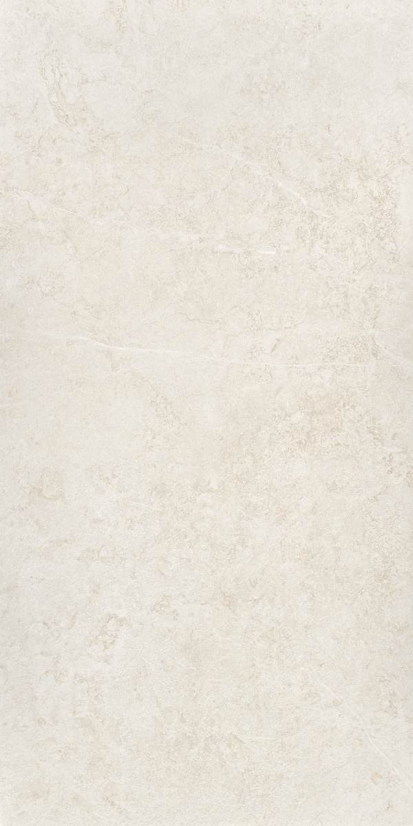 Керамический гранит Origen Bone Matt / Ориджн Боне Матовый 233721 595x1192 (COLORKER)