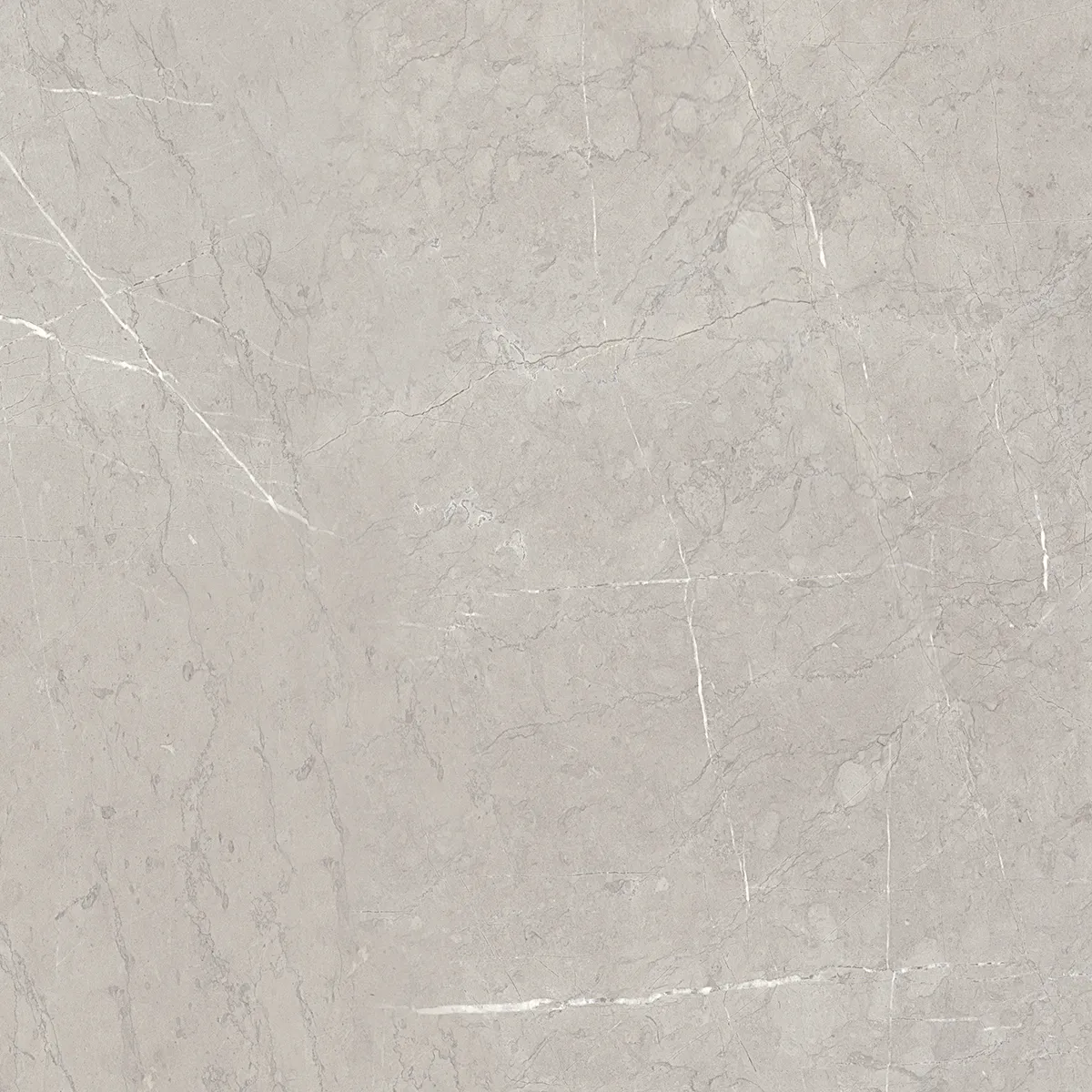 Керамический гранит Эбри Серый / Ebri Gris 600x600 (AZORI)