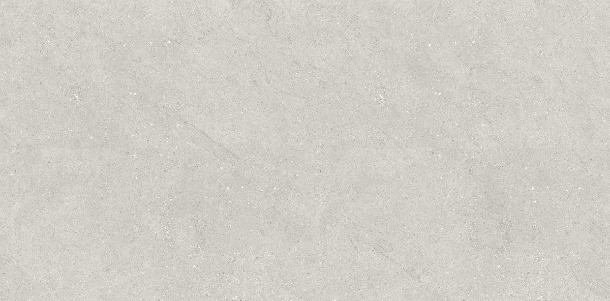 Керамический гранит Concept Liberty Grey Matt N110007 600x1200 (Neodom)