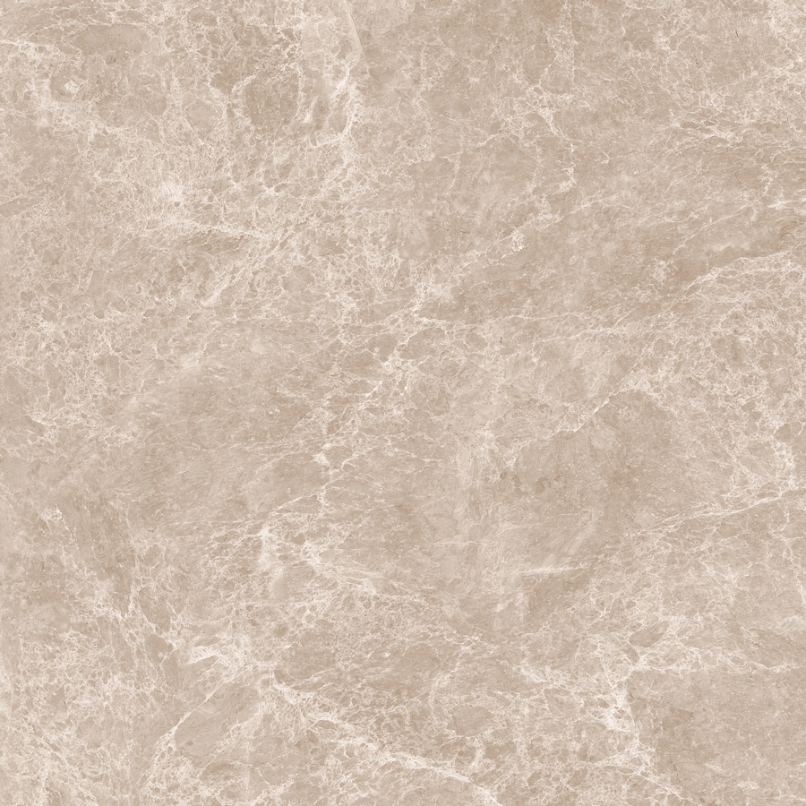 Керамический гранит Emperador Taupe Polished N20461 1200x1200 (Neodom)