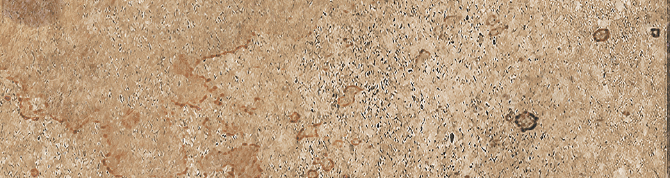 Плитка настенная Айдахо 4 65x245 (Керамин)