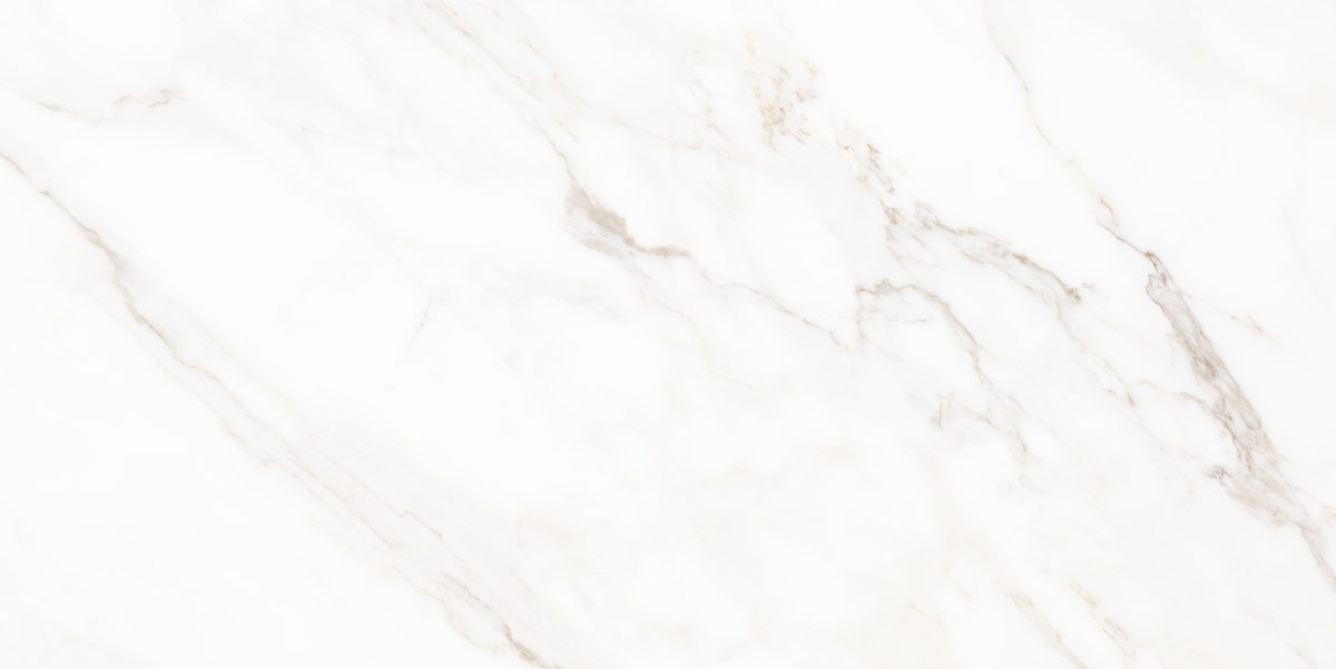 Керамический гранит Classic Marble Calacatta Classic Polished N40059 600x1200 (Neodom)