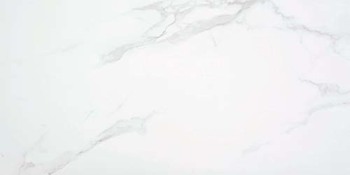 Керамический гранит P.E. PURITY WHITE MT 40 (STN Ceramica)