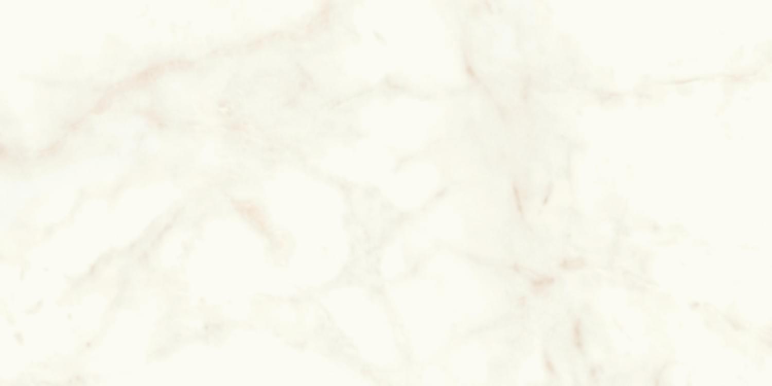 Керамический гранит Marvel Shine Calacatta Delicato Lappato A4Q0 600х1200 (Atlas concorde)
