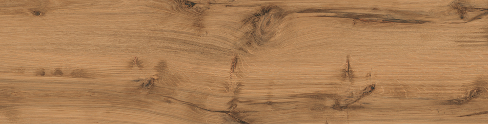 Керамический гранит Timber Land бежевый ректификат рельеф A17934 218x898 (Cersanit)