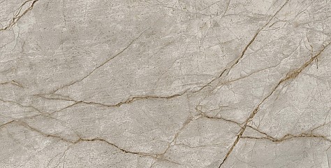 Керамический гранит EMPIRE Silver Root / Эмпаир Сильвер Рут 800x1600 Lapp (Atlas Concorde Russia)