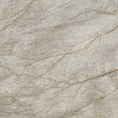 Керамический гранит EMPIRE Silver Root / Эмпаир Сильвер Рут 600x600 (Atlas Concorde Russia)
