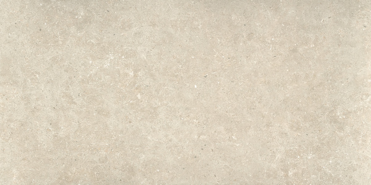 Керамический гранит Ulisse Natural Matt. N30150 595x1200 (STN Ceramica)