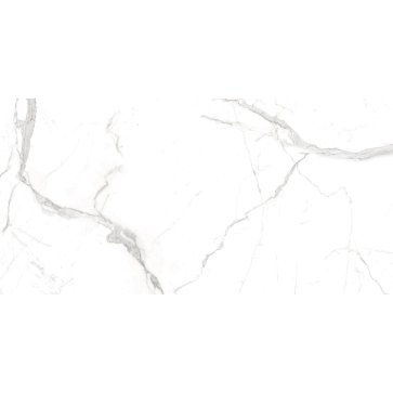 Керамический гранит Whites Bianco Dolomite Matt 60x120 (Creatile)
