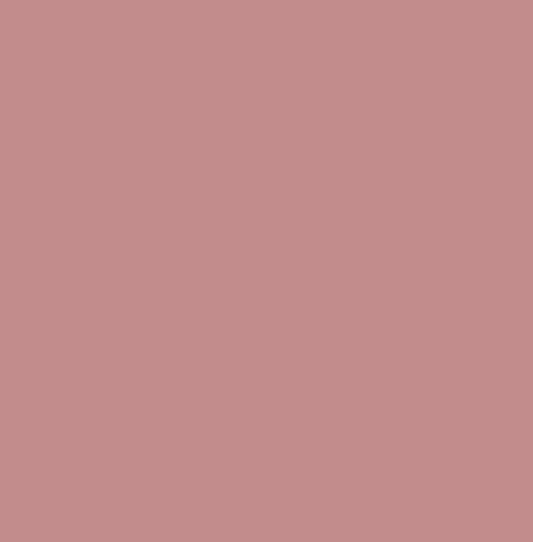 Керамический гранит L4419-1Ch Pink 19 10x10 (TopCer)
