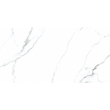 Керамический гранит Hermitage Mckinley Carving N20419 600x1200 (Neodom)