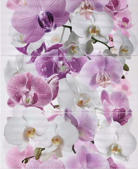 Панно EDEN Composicion Orchidea III (Unicer)