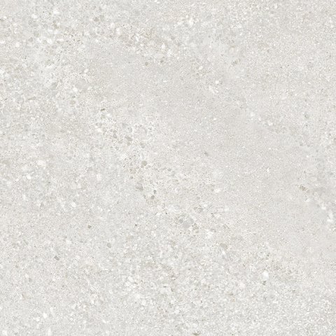 Керамический гранит Pallada светло-серый 600x600 матовый SG646320R (Laparet)