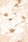 Декор LINDA Beige LI2N011 (CERSANIT)