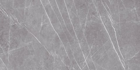 Керамический гранит MUSEUM Greystone Argent/60x120/EP (Peronda)