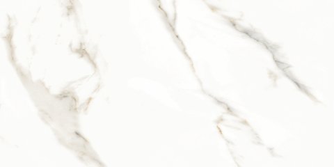 Керамический гранит Splendida Marmol Carrara Polished N12028 600x1200 (Neodom)