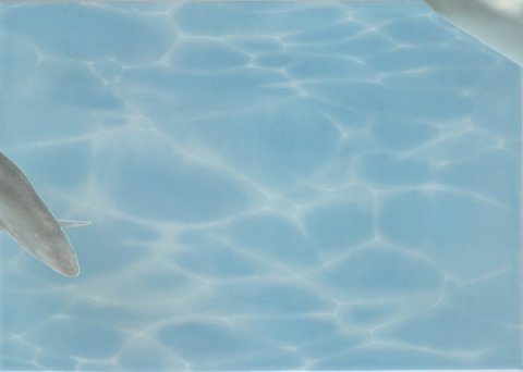 Декор AZURE Decor Dolphin 7 Turquoise (Beryoza Ceramica)