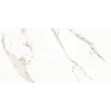 Керамический гранит Splendida Marmol Carrara Polished N12028 600x1200 (Neodom)