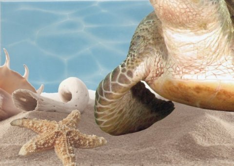 Декор AZURE Decor 11 Sea World Turquoise (Beryoza Ceramica)