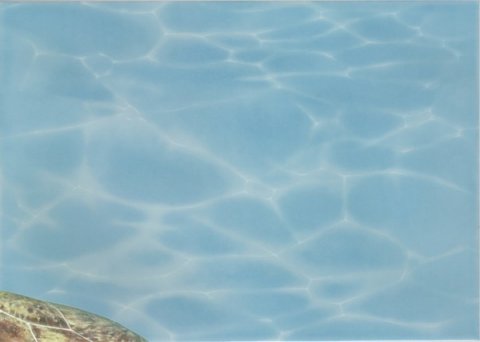 Декор AZURE Decor 8 Sea World Turquoise (Beryoza Ceramica)