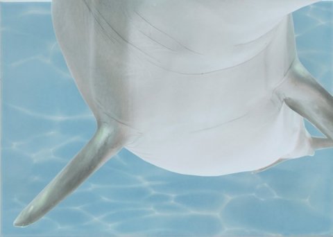 Декор AZURE Decor Dolphin 6 Turquoise (Beryoza Ceramica)