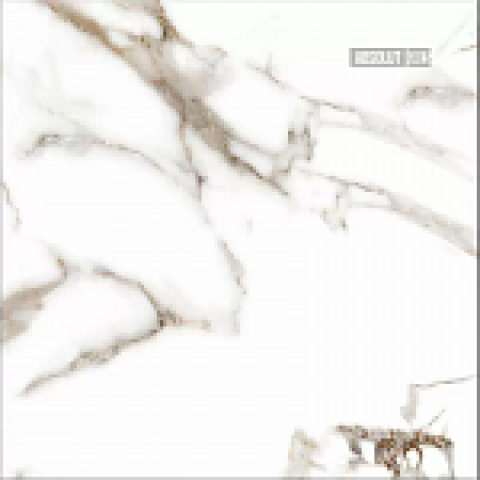 Керамический гранит Oro Bianco AB 1131G полированный 600x600 (Absolut Gres)