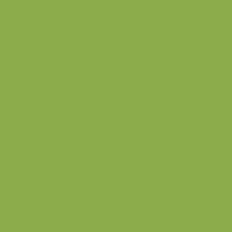 Керамический гранит I COLORI MATT Kiwi 10x10 (CE.SI)