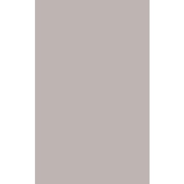 Плитка настенная Monica taupe 250х400 (Creto)