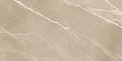 Керамический гранит Эссеншл каштановый / Essential Marron полированный 60120ESE21P 600x1200 (New Trend)