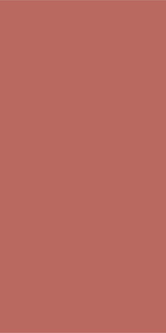 Плитка настенная Palette Pepper 300х600 (Creto)