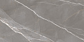 Керамический гранит Эссеншл темно-серый / Essential Graphite полированный 60120ESE25P 600x1200 (New Trend)
