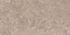 Керамический гранит Мурашки Капучино / Murashki Cappuccino K-2122/MR 600x1200 (Kerranova)