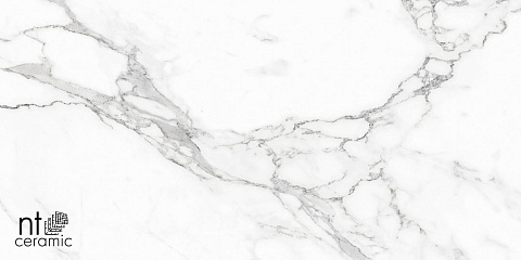 Керамический гранит Bright and Shiny Statuario Infinity матовый NTT9125M 600x1200 (NT Ceramic)
