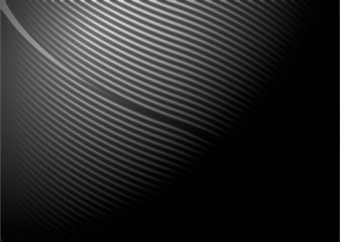 Плитка настенная PRESTIGE Black 25x35 (Beryoza Ceramica)