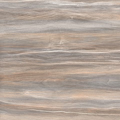 Керамический гранит Esprit Wood FT3ESR21 410x410 (AltaCera)