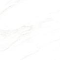 Керамический гранит Harmony / Гармония Белый E-3040/MR/600x600 (Dako)