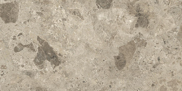 Керамический гранит ХАРИЗМА Коричневый K-2331/DGR 600x1200 (Kerranova)