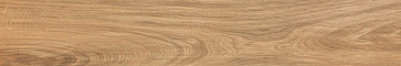 Керамический гранит ETIC Rovere AJ8P (Atlas concorde)