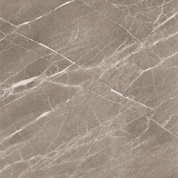 Керамический гранит Elegance/Элеганс grey PG 01(Gracia Ceramica)