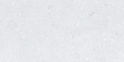Керамический гранит Cemento Ammonite Silver Matt 600x1200 (MDetails)