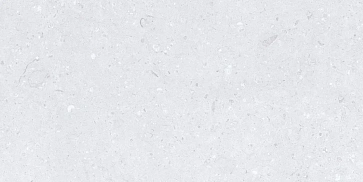 Керамический гранит Cemento Ammonite Silver Matt 600x1200 (MDetails)