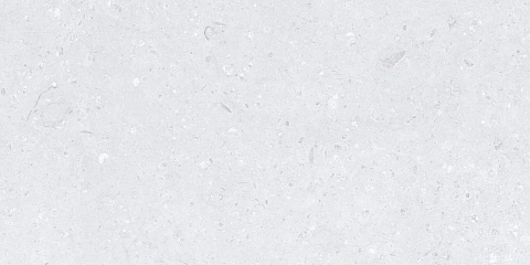Керамический гранит Cemento Ammonite Silver Matt 600x1200 (MDetails)